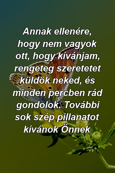 Annak ellenére, hogy nem vagyok ott, hogy kívánjam, rengeteg szeretetet küldök neked, és minden percben rád gondolok. További sok szép pillanatot kívánok Önnek