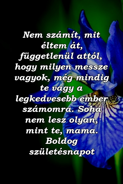 Nem számít, mit éltem át, függetlenül attól, hogy milyen messze vagyok, még mindig te vagy a legkedvesebb ember számomra. Soha nem lesz olyan, mint te, mama. Boldog születésnapot