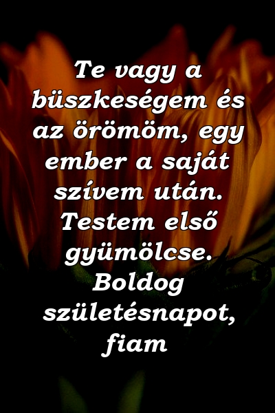 Te vagy a büszkeségem és az örömöm, egy ember a saját szívem után. Testem első gyümölcse. Boldog születésnapot, fiam