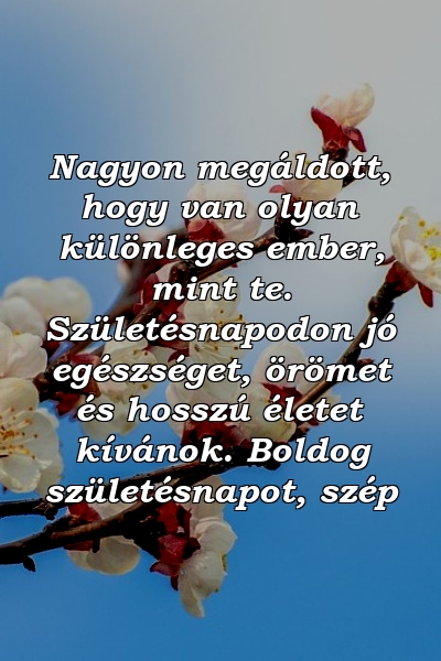 Nagyon megáldott, hogy van olyan különleges ember, mint te. Születésnapodon jó egészséget, örömet és hosszú életet kívánok. Boldog születésnapot, szép