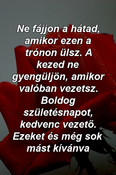 Ne fájjon a hátad, amikor ezen a trónon ülsz. A kezed ne gyengüljön, amikor valóban vezetsz. Boldog születésnapot, kedvenc vezető. Ezeket és még sok mást kívánva