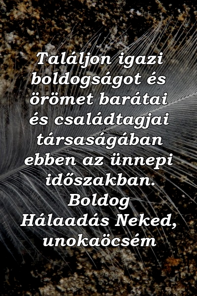 Találjon igazi boldogságot és örömet barátai és családtagjai társaságában ebben az ünnepi időszakban. Boldog Hálaadás Neked, unokaöcsém