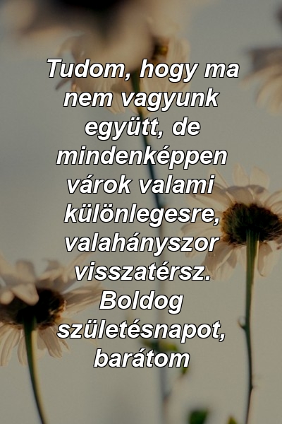 Tudom, hogy ma nem vagyunk együtt, de mindenképpen várok valami különlegesre, valahányszor visszatérsz. Boldog születésnapot, barátom