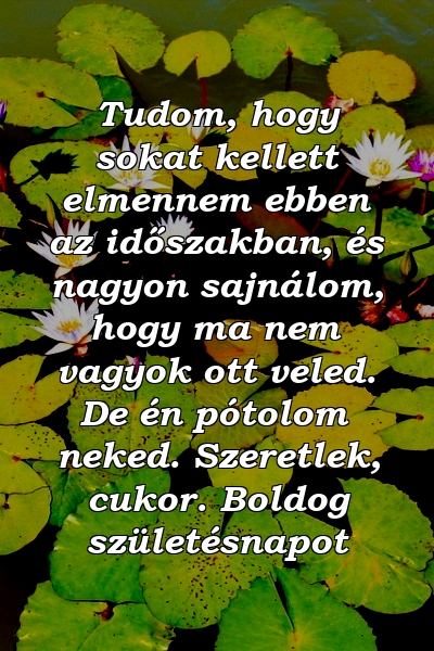 Tudom, hogy sokat kellett elmennem ebben az időszakban, és nagyon sajnálom, hogy ma nem vagyok ott veled. De én pótolom neked. Szeretlek, cukor. Boldog születésnapot