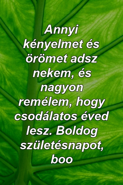 Annyi kényelmet és örömet adsz nekem, és nagyon remélem, hogy csodálatos éved lesz. Boldog születésnapot, boo