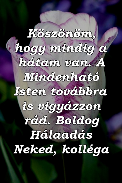 Köszönöm, hogy mindig a hátam van. A Mindenható Isten továbbra is vigyázzon rád. Boldog Hálaadás Neked, kolléga