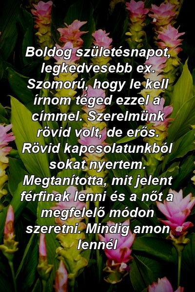 Boldog születésnapot, legkedvesebb ex. Szomorú, hogy le kell írnom téged ezzel a címmel. Szerelmünk rövid volt, de erős. Rövid kapcsolatunkból sokat nyertem. Megtanította, mit jelent férfinak lenni és a nőt a megfelelő módon szeretni. Mindig amon lennél