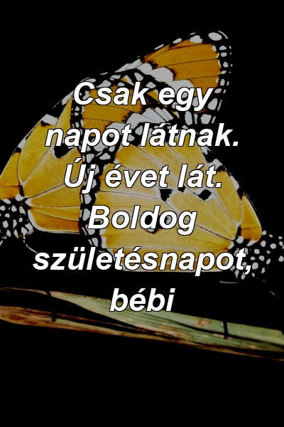 Csak egy napot látnak. Új évet lát. Boldog születésnapot, bébi