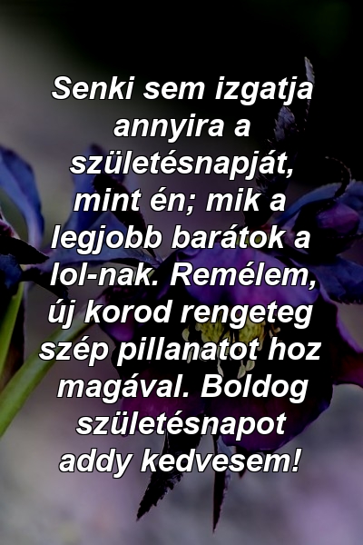 Senki sem izgatja annyira a születésnapját, mint én; mik a legjobb barátok a lol-nak. Remélem, új korod rengeteg szép pillanatot hoz magával. Boldog születésnapot addy kedvesem!