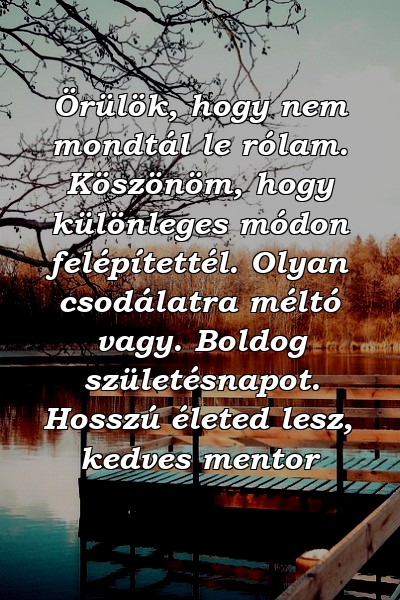 Örülök, hogy nem mondtál le rólam. Köszönöm, hogy különleges módon felépítettél. Olyan csodálatra méltó vagy. Boldog születésnapot. Hosszú életed lesz, kedves mentor