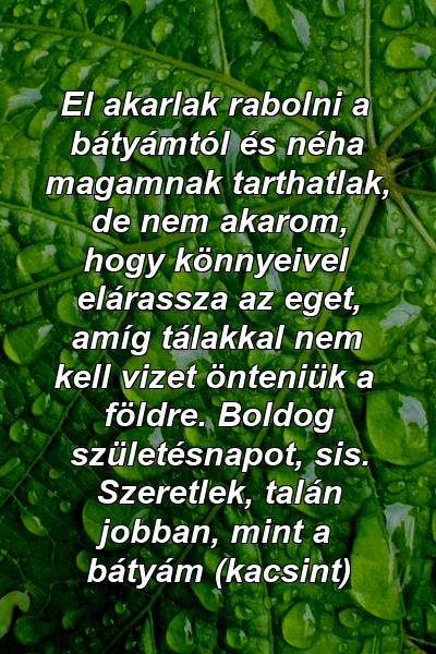 El akarlak rabolni a bátyámtól és néha magamnak tarthatlak, de nem akarom, hogy könnyeivel elárassza az eget, amíg tálakkal nem kell vizet önteniük a földre. Boldog születésnapot, sis. Szeretlek, talán jobban, mint a bátyám (kacsint)