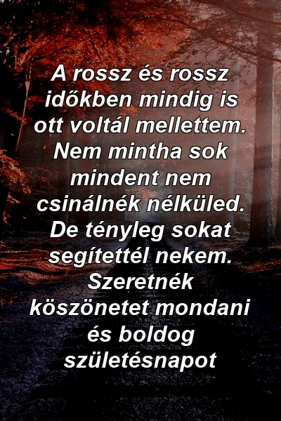 A rossz és rossz időkben mindig is ott voltál mellettem. Nem mintha sok mindent nem csinálnék nélküled. De tényleg sokat segítettél nekem. Szeretnék köszönetet mondani és boldog születésnapot