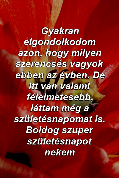 Gyakran elgondolkodom azon, hogy milyen szerencsés vagyok ebben az évben. De itt van valami félelmetesebb, láttam még a születésnapomat is. Boldog szuper születésnapot nekem