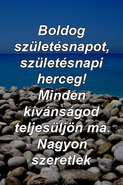 Boldog születésnapot, születésnapi herceg! Minden kívánságod teljesüljön ma. Nagyon szeretlek