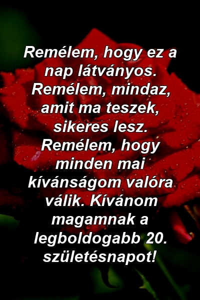 Remélem, hogy ez a nap látványos. Remélem, mindaz, amit ma teszek, sikeres lesz. Remélem, hogy minden mai kívánságom valóra válik. Kívánom magamnak a legboldogabb 20. születésnapot!