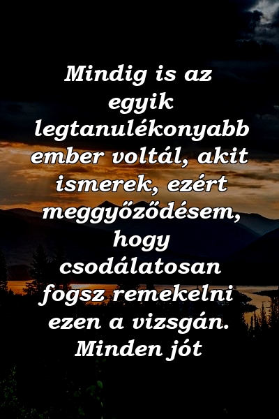 Mindig is az egyik legtanulékonyabb ember voltál, akit ismerek, ezért meggyőződésem, hogy csodálatosan fogsz remekelni ezen a vizsgán. Minden jót