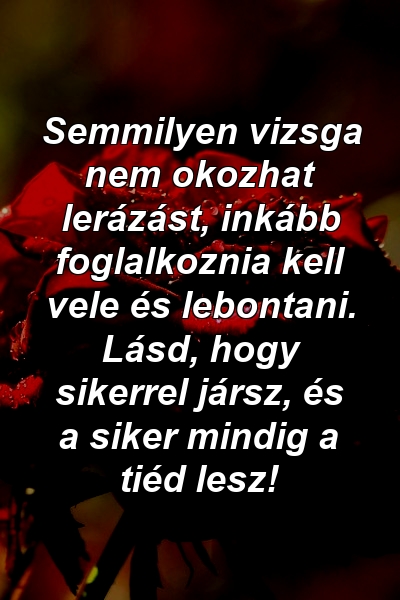 Semmilyen vizsga nem okozhat lerázást, inkább foglalkoznia kell vele és lebontani. Lásd, hogy sikerrel jársz, és a siker mindig a tiéd lesz!