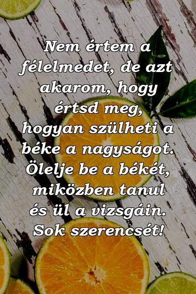 Nem értem a félelmedet, de azt akarom, hogy értsd meg, hogyan szülheti a béke a nagyságot. Ölelje be a békét, miközben tanul és ül a vizsgáin. Sok szerencsét!