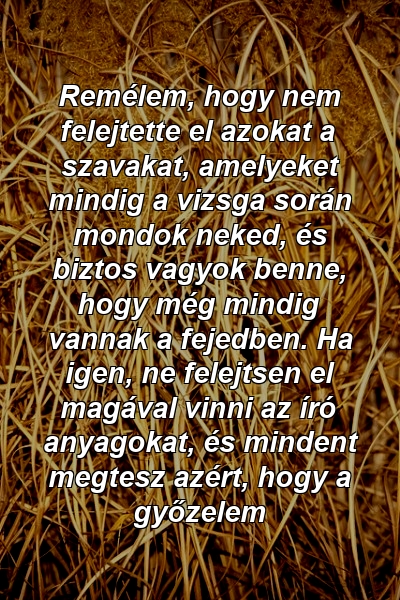 Remélem, hogy nem felejtette el azokat a szavakat, amelyeket mindig a vizsga során mondok neked, és biztos vagyok benne, hogy még mindig vannak a fejedben. Ha igen, ne felejtsen el magával vinni az író anyagokat, és mindent megtesz azért, hogy a győzelem 