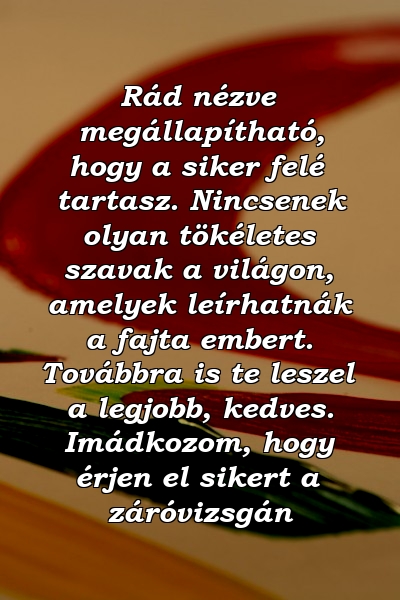 Rád nézve megállapítható, hogy a siker felé tartasz. Nincsenek olyan tökéletes szavak a világon, amelyek leírhatnák a fajta embert. Továbbra is te leszel a legjobb, kedves. Imádkozom, hogy érjen el sikert a záróvizsgán