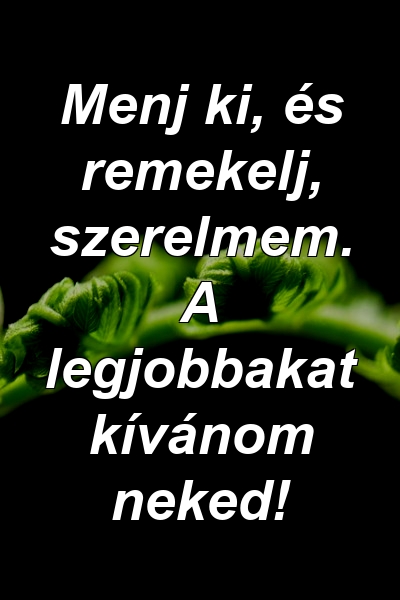 Menj ki, és remekelj, szerelmem. A legjobbakat kívánom neked!