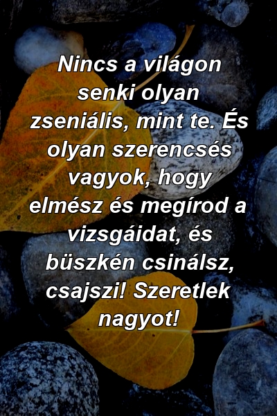 Nincs a világon senki olyan zseniális, mint te. És olyan szerencsés vagyok, hogy elmész és megírod a vizsgáidat, és büszkén csinálsz, csajszi! Szeretlek nagyot!