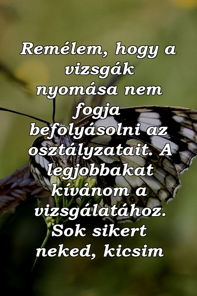 Remélem, hogy a vizsgák nyomása nem fogja befolyásolni az osztályzatait. A legjobbakat kívánom a vizsgálatához. Sok sikert neked, kicsim