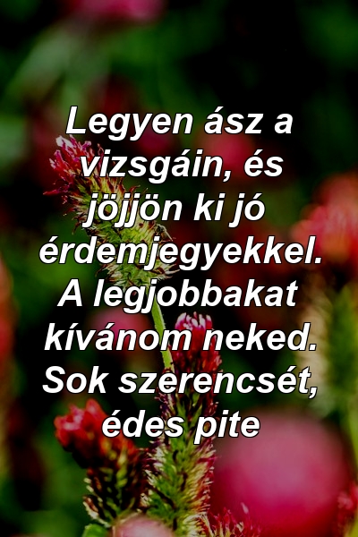 Legyen ász a vizsgáin, és jöjjön ki jó érdemjegyekkel. A legjobbakat kívánom neked. Sok szerencsét, édes pite