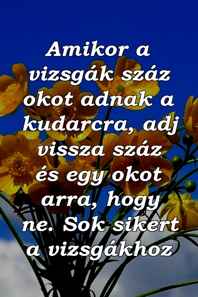 Amikor a vizsgák száz okot adnak a kudarcra, adj vissza száz és egy okot arra, hogy ne. Sok sikert a vizsgákhoz