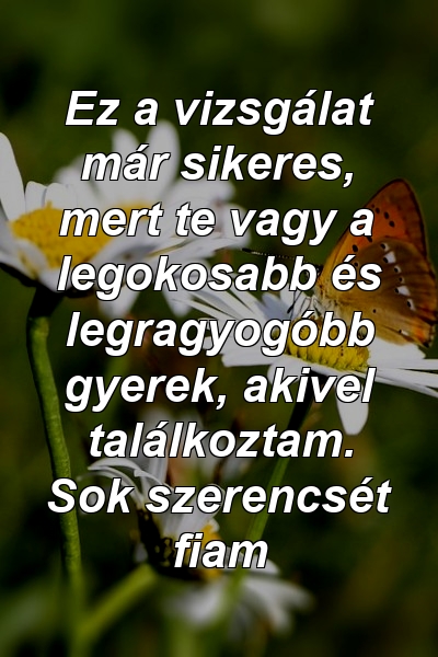 Ez a vizsgálat már sikeres, mert te vagy a legokosabb és legragyogóbb gyerek, akivel találkoztam. Sok szerencsét fiam