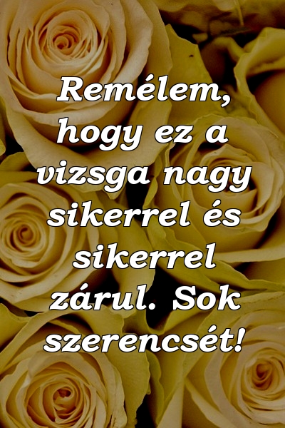 Remélem, hogy ez a vizsga nagy sikerrel és sikerrel zárul. Sok szerencsét!