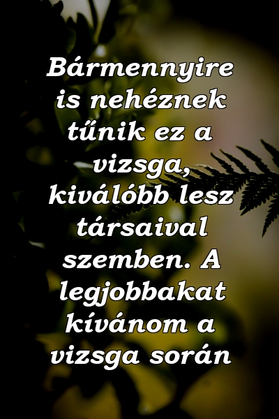 Bármennyire is nehéznek tűnik ez a vizsga, kiválóbb lesz társaival szemben. A legjobbakat kívánom a vizsga során