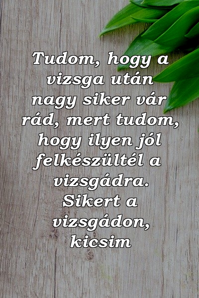 Tudom, hogy a vizsga után nagy siker vár rád, mert tudom, hogy ilyen jól felkészültél a vizsgádra. Sikert a vizsgádon, kicsim