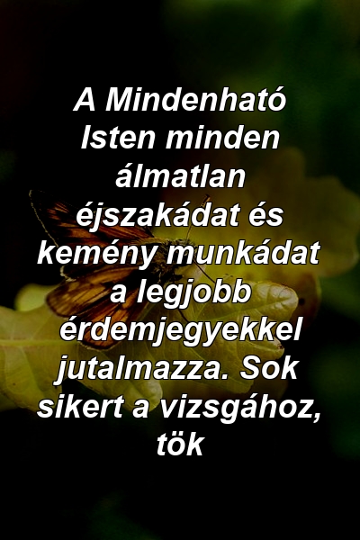 A Mindenható Isten minden álmatlan éjszakádat és kemény munkádat a legjobb érdemjegyekkel jutalmazza. Sok sikert a vizsgához, tök