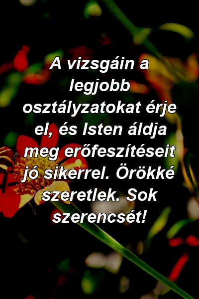 A vizsgáin a legjobb osztályzatokat érje el, és Isten áldja meg erőfeszítéseit jó sikerrel. Örökké szeretlek. Sok szerencsét!