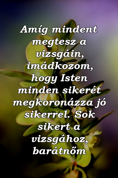 Amíg mindent megtesz a vizsgáin, imádkozom, hogy Isten minden sikerét megkoronázza jó sikerrel. Sok sikert a vizsgához, barátnőm