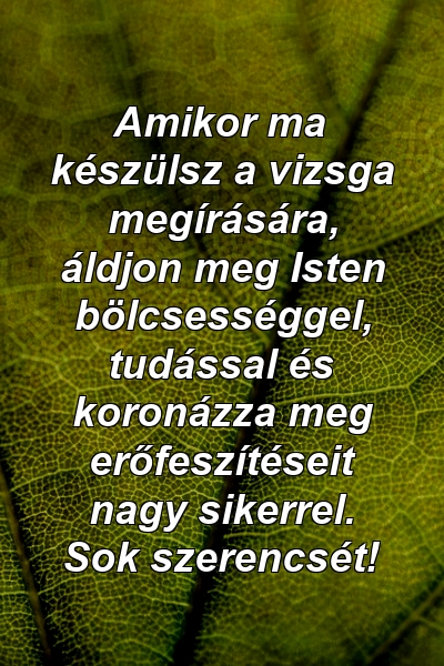 Amikor ma készülsz a vizsga megírására, áldjon meg Isten bölcsességgel, tudással és koronázza meg erőfeszítéseit nagy sikerrel. Sok szerencsét!