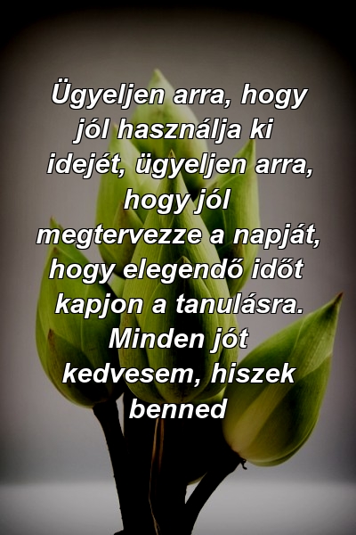 Ügyeljen arra, hogy jól használja ki idejét, ügyeljen arra, hogy jól megtervezze a napját, hogy elegendő időt kapjon a tanulásra. Minden jót kedvesem, hiszek benned