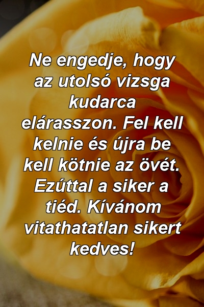 Ne engedje, hogy az utolsó vizsga kudarca elárasszon. Fel kell kelnie és újra be kell kötnie az övét. Ezúttal a siker a tiéd. Kívánom vitathatatlan sikert kedves!