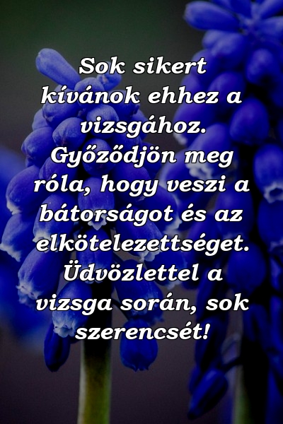 Sok sikert kívánok ehhez a vizsgához. Győződjön meg róla, hogy veszi a bátorságot és az elkötelezettséget. Üdvözlettel a vizsga során, sok szerencsét!