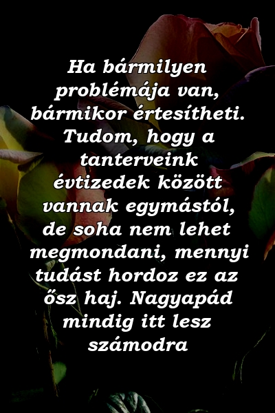 Ha bármilyen problémája van, bármikor értesítheti. Tudom, hogy a tanterveink évtizedek között vannak egymástól, de soha nem lehet megmondani, mennyi tudást hordoz ez az ősz haj. Nagyapád mindig itt lesz számodra