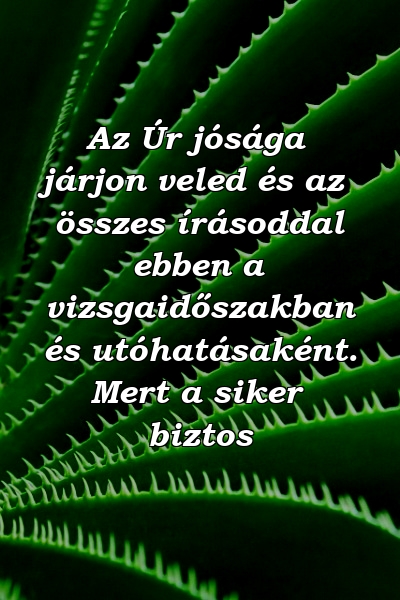 Az Úr jósága járjon veled és az összes írásoddal ebben a vizsgaidőszakban és utóhatásaként. Mert a siker biztos