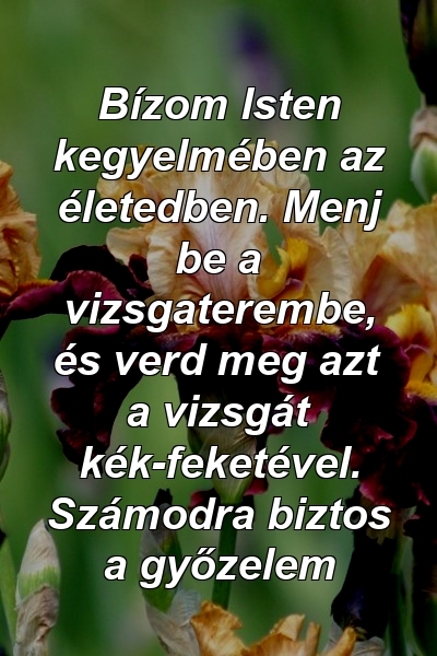 Bízom Isten kegyelmében az életedben. Menj be a vizsgaterembe, és verd meg azt a vizsgát kék-feketével. Számodra biztos a győzelem