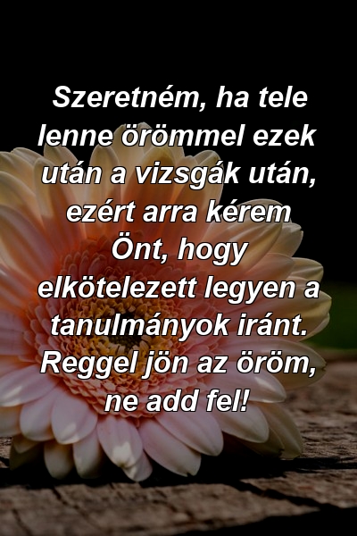 Szeretném, ha tele lenne örömmel ezek után a vizsgák után, ezért arra kérem Önt, hogy elkötelezett legyen a tanulmányok iránt. Reggel jön az öröm, ne add fel!