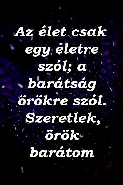 Az élet csak egy életre szól; a barátság örökre szól. Szeretlek, örök barátom