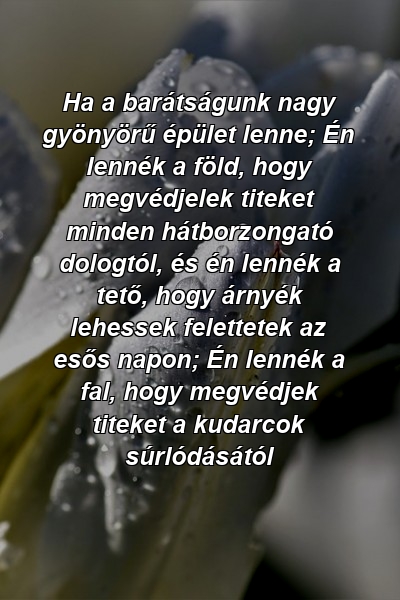 Ha a barátságunk nagy gyönyörű épület lenne; Én lennék a föld, hogy megvédjelek titeket minden hátborzongató dologtól, és én lennék a tető, hogy árnyék lehessek felettetek az esős napon; Én lennék a fal, hogy megvédjek titeket a kudarcok súrlódásától