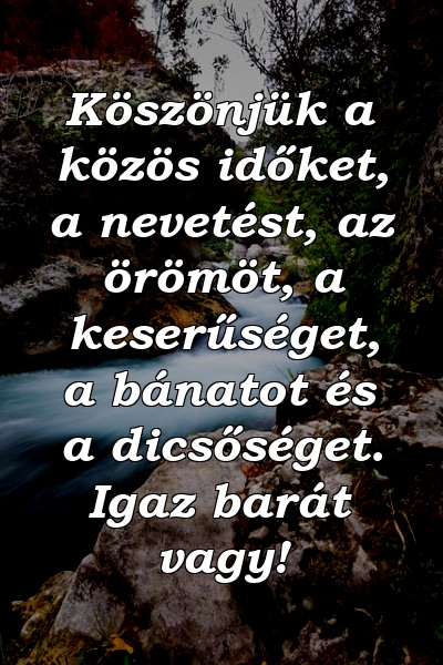 Köszönjük a közös időket, a nevetést, az örömöt, a keserűséget, a bánatot és a dicsőséget. Igaz barát vagy!