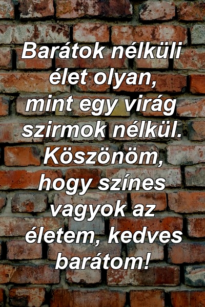 Barátok nélküli élet olyan, mint egy virág szirmok nélkül. Köszönöm, hogy színes vagyok az életem, kedves barátom!