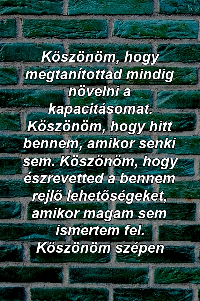 Köszönöm, hogy megtanítottad mindig növelni a kapacitásomat. Köszönöm, hogy hitt bennem, amikor senki sem. Köszönöm, hogy észrevetted a bennem rejlő lehetőségeket, amikor magam sem ismertem fel. Köszönöm szépen