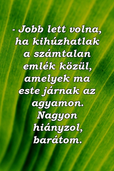 - Jobb lett volna, ha kihúzhatlak a számtalan emlék közül, amelyek ma este járnak az agyamon. Nagyon hiányzol, barátom.